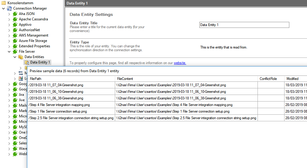 Screenshot of a data preview with data from the source "File Server"