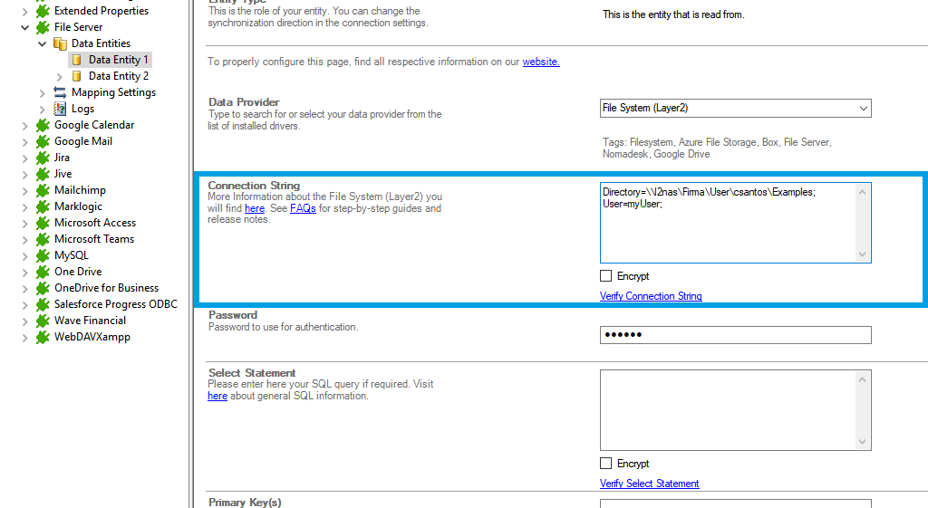 Screenshot of a File Server connection string