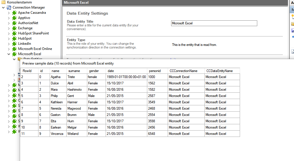 Preview data of Microsoft Excel integration.png