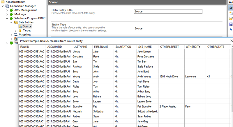 Preview data of Salesforce integration